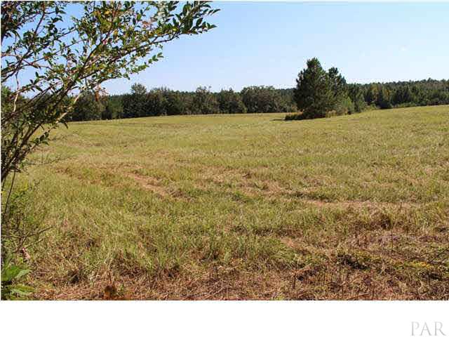 8400 Cedar Springs Road Molino, FL 32577 - Photo 5 of 5 Or just enjoy the peace and quiet of living in the country!