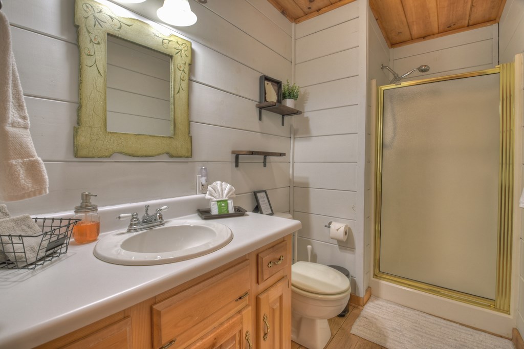 368 Walnut Ridge Ellijay, GA 30536 - Photo 30 of 41 a bathroom with a sink toilet and shower