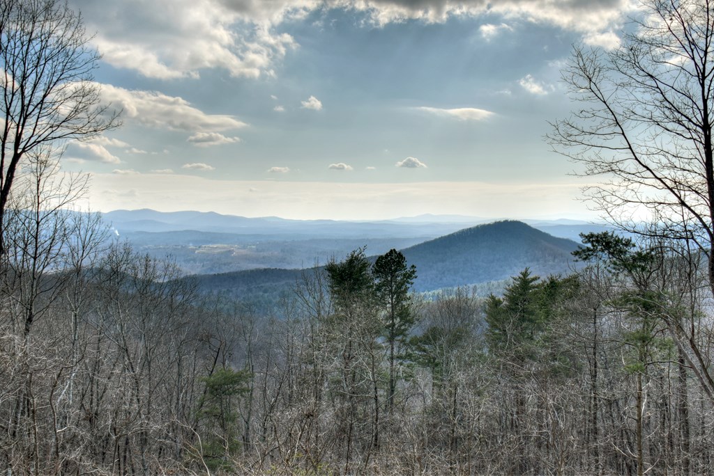368 Walnut Ridge Ellijay, GA 30536 - Photo 33 of 41 a view of mountain with outdoor space