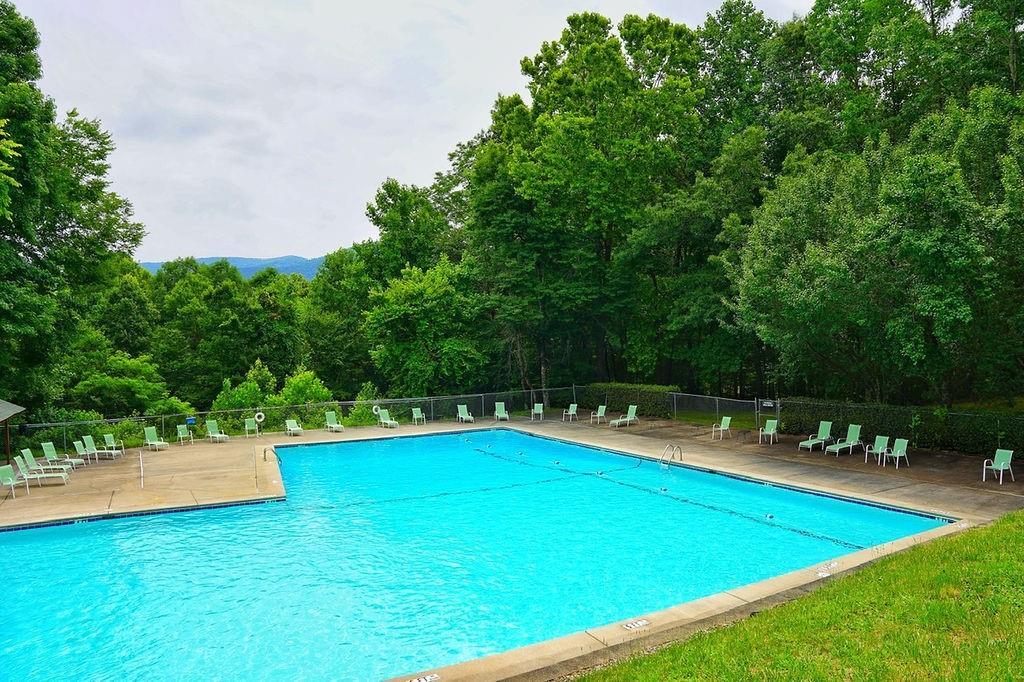 368 Walnut Ridge Ellijay, GA 30536 - Photo 35 of 41 a view of a swimming pool and lounge chairs