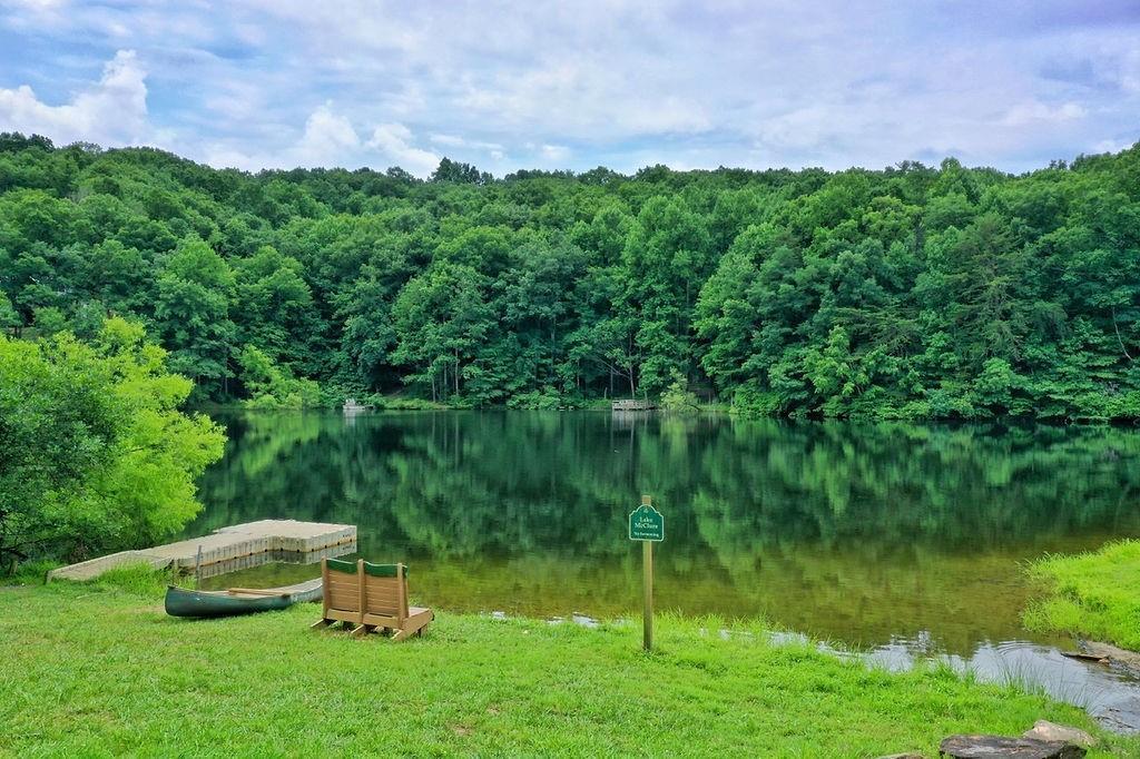 368 Walnut Ridge Ellijay, GA 30536 - Photo 38 of 41 a view of a lake with a yard