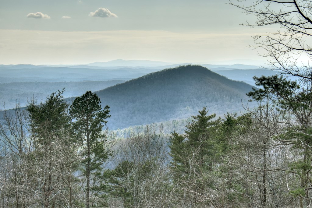 368 Walnut Ridge Ellijay, GA 30536 - Photo 7 of 41 a view of a yard