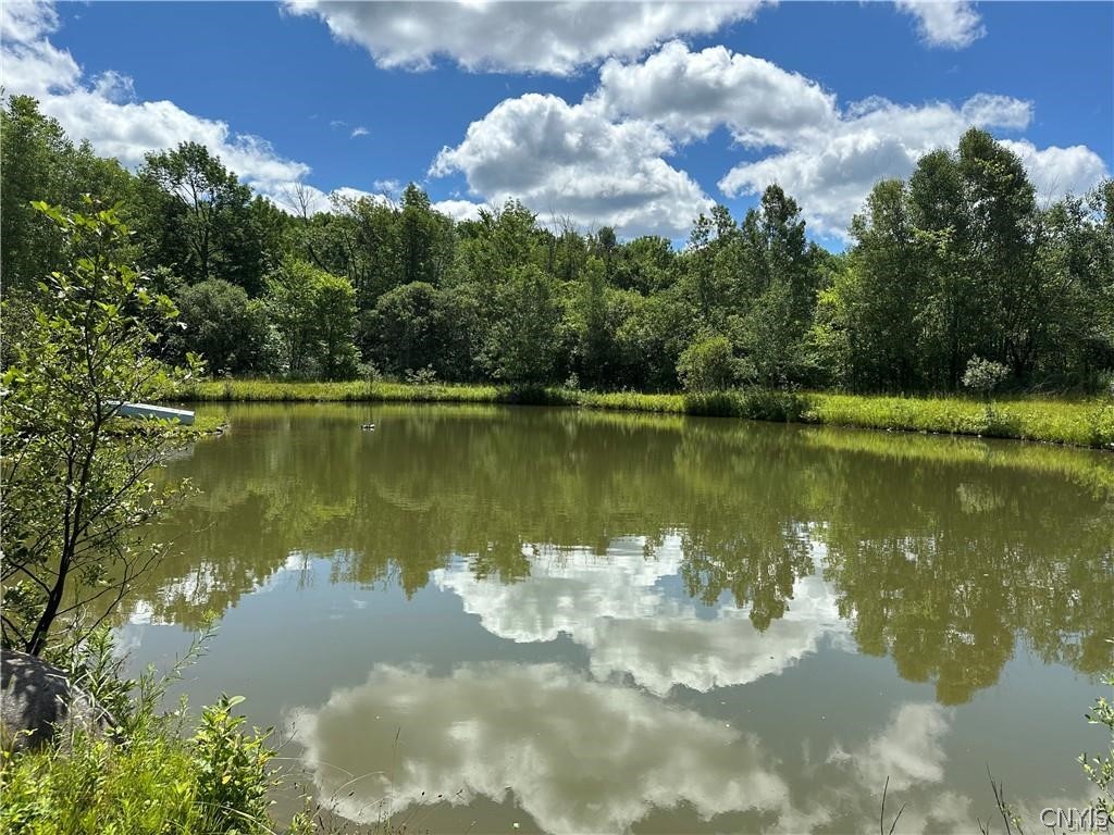 Brown Road Lorraine, NY 13659 - Photo 19 of 30