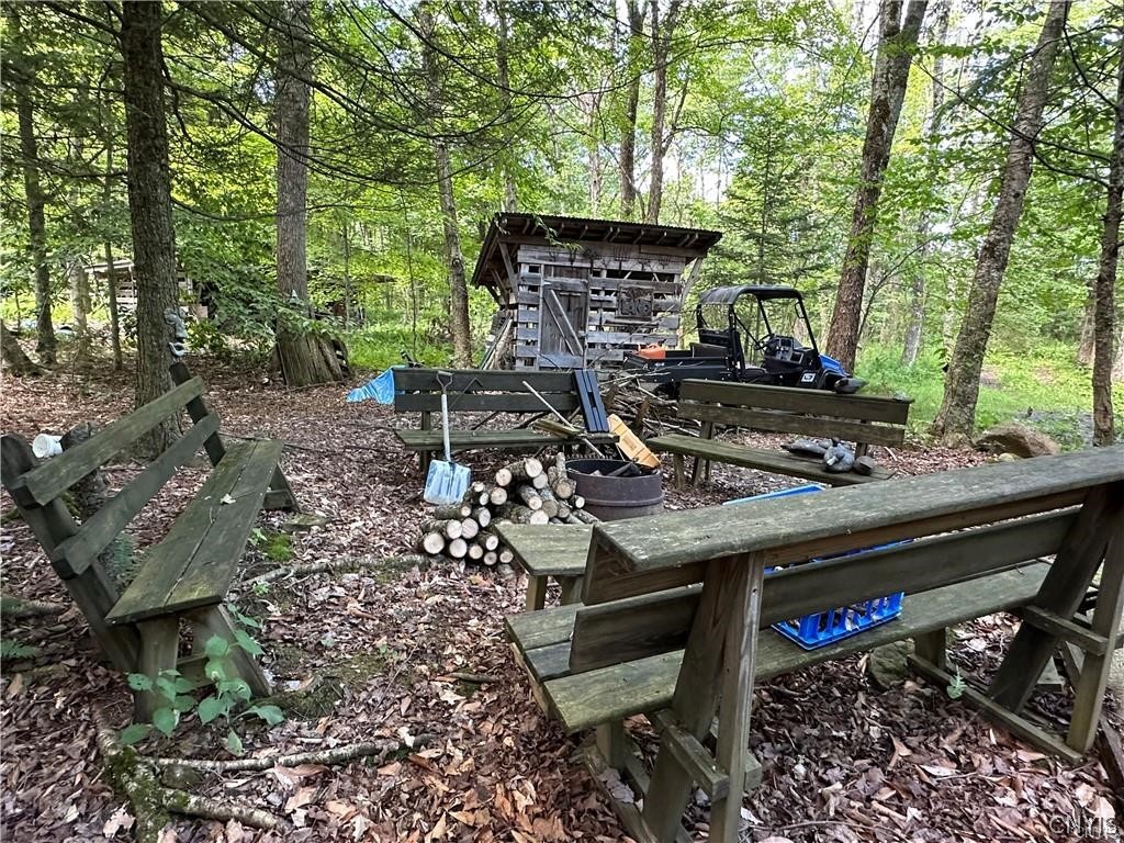 Brown Road Lorraine, NY 13659 - Photo 24 of 30