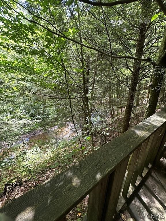 Brown Road Lorraine, NY 13659 - Photo 28 of 30