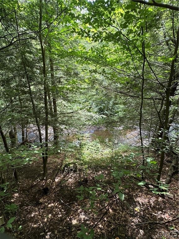 Brown Road Lorraine, NY 13659 - Photo 29 of 30