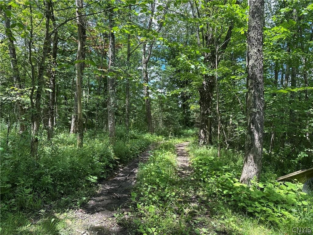 Brown Road Lorraine, NY 13659 - Photo 30 of 30