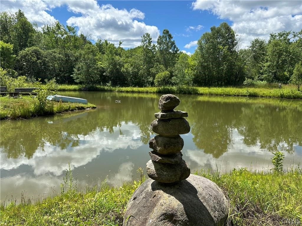 Brown Road Lorraine, NY 13659 - Photo 3 of 30