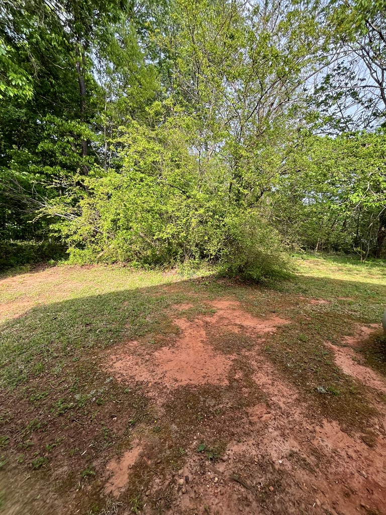 960 Asbury Mill Road Cleveland, GA 30528 - Photo 12 of 97 Gallery Image 12