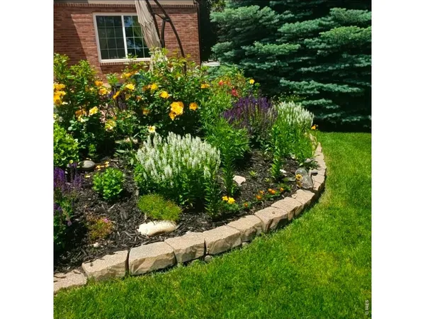 a view of a garden with plants
