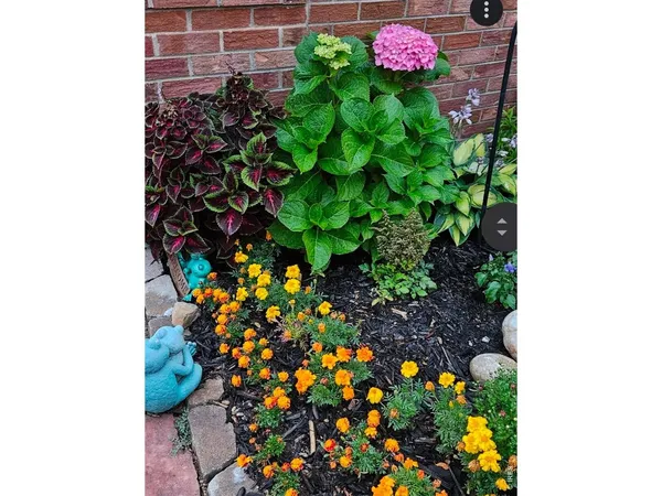 a view of a yard with an outdoor space