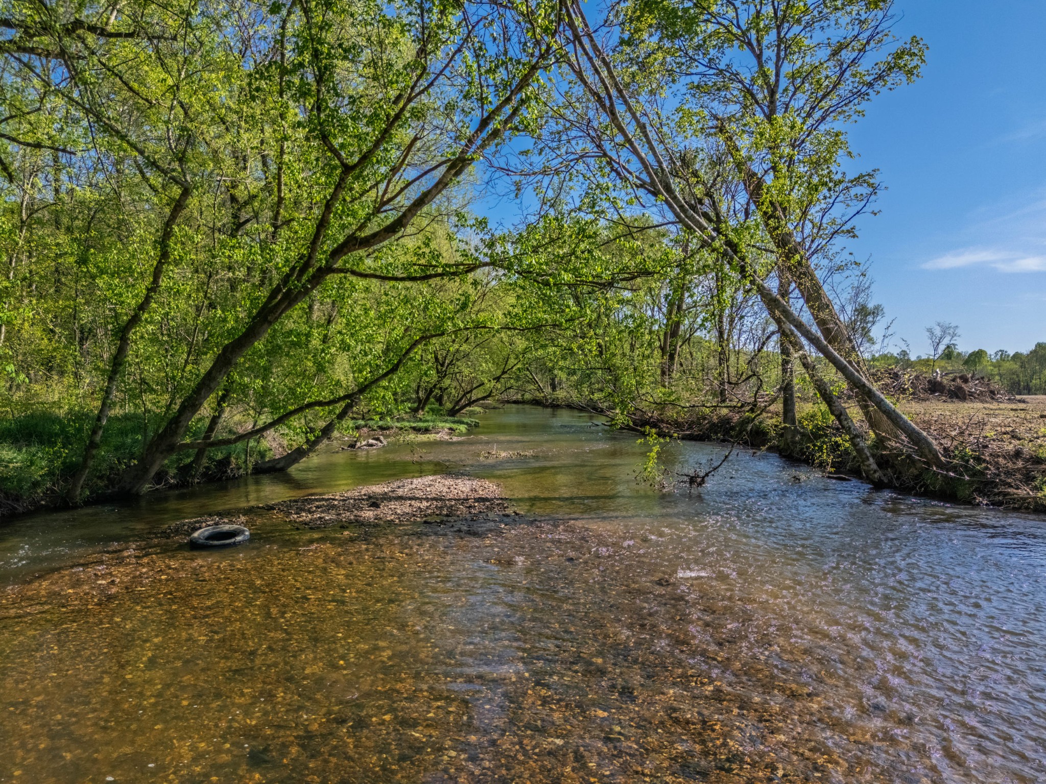 420 Corders Crossroads Road Fayetteville, TN 37334 - Photo 3 of 56