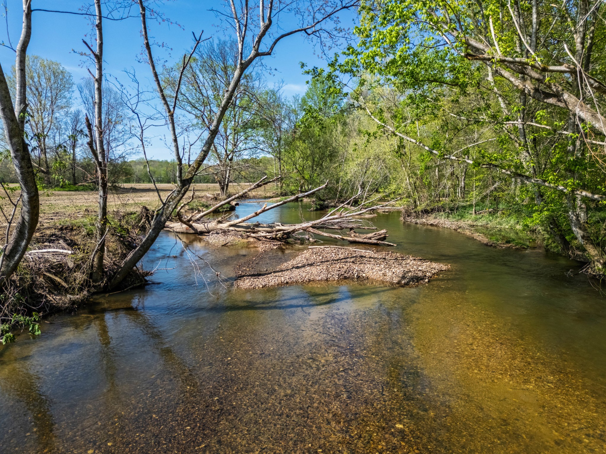 420 Corders Crossroads Road Fayetteville, TN 37334 - Photo 4 of 56