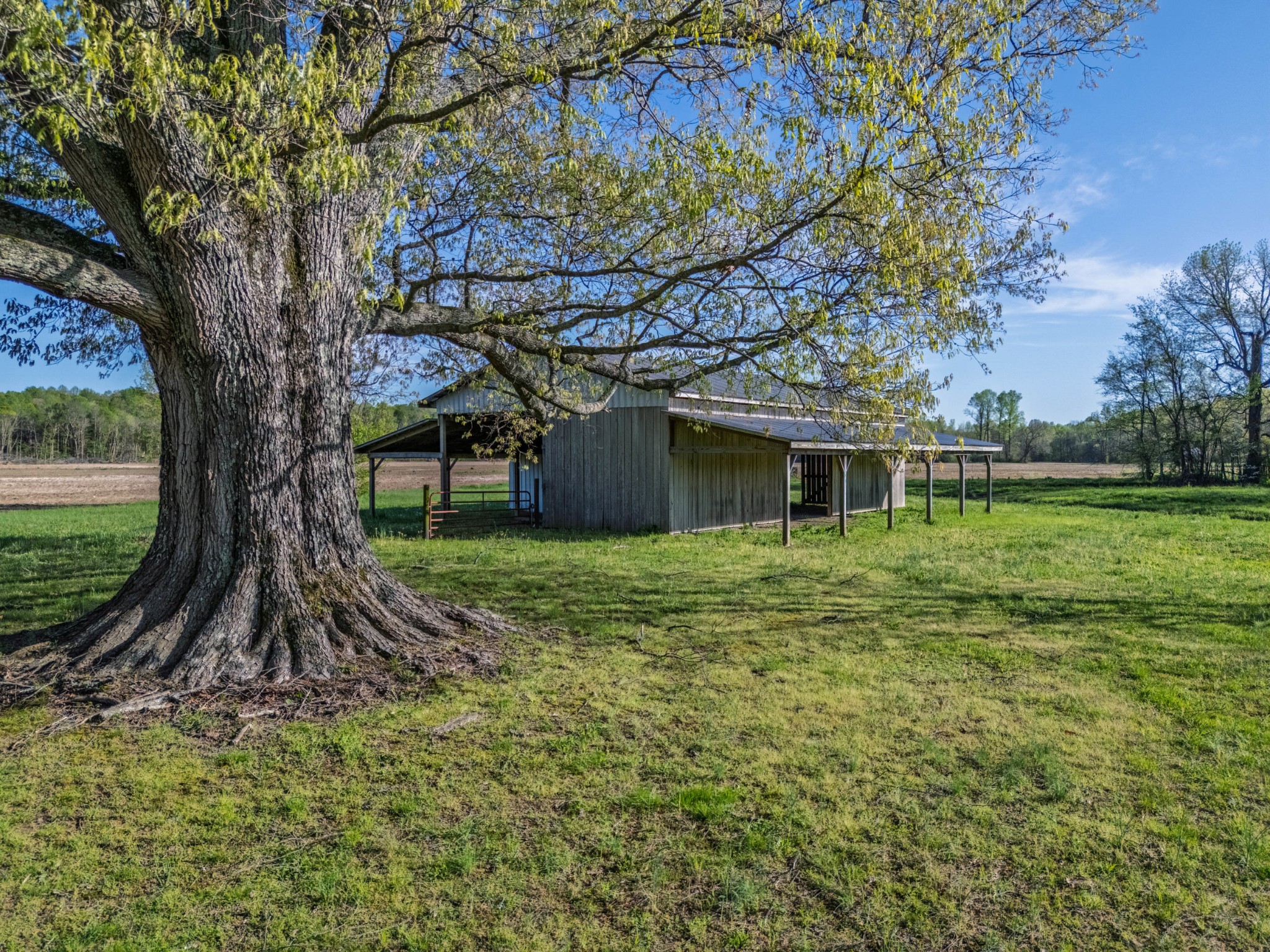 420 Corders Crossroads Road Fayetteville, TN 37334 - Photo 10 of 56