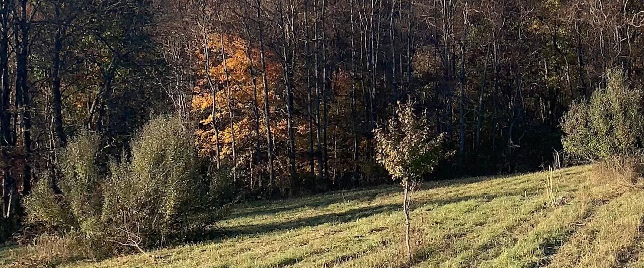7096 Pleasantview Road Southeast Bremen, OH 43107 - Photo 23 of 30 IMG_7841