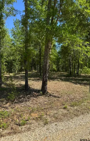 $150,000 | 24337 Farm To Market 838, Overton, TX 75684