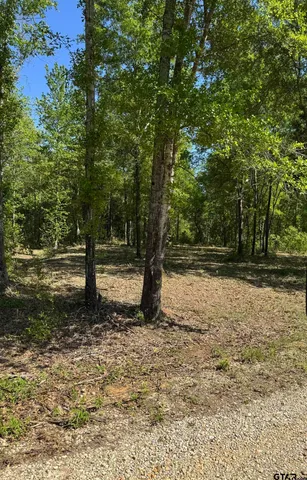 a view of backyard with green space
