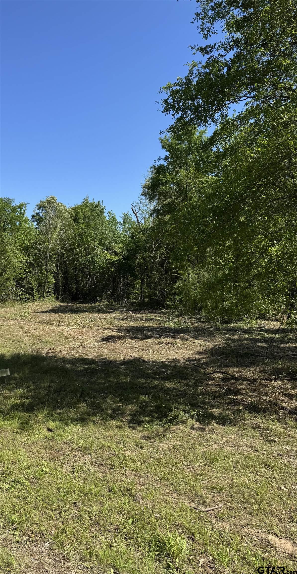 24337 Farm To Market 838 Overton, TX 75684 - Photo 2 of 7 a view of a lake view