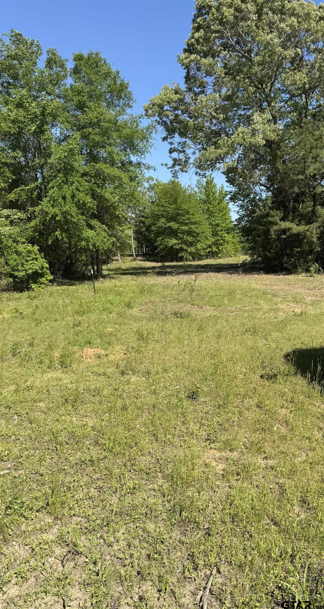 24337 Farm To Market 838 Overton, TX 75684 - Photo 4 of 7 a view of an ocean view