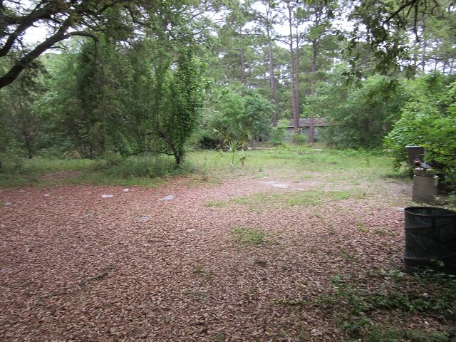 38 Levy Bay Road Panacea, FL 32346 - Photo 3 of 10 Gallery Image 3