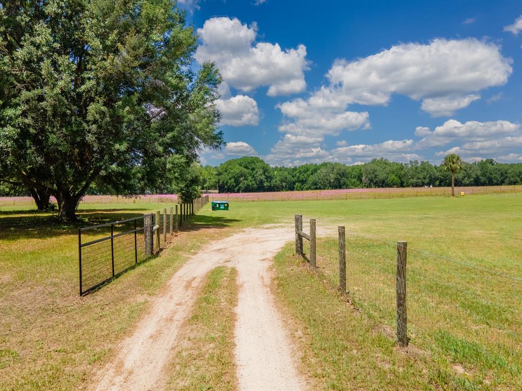 4381 Northeast 105th Place Anthony, FL 32617 - Photo 3 of 49 a view of lake