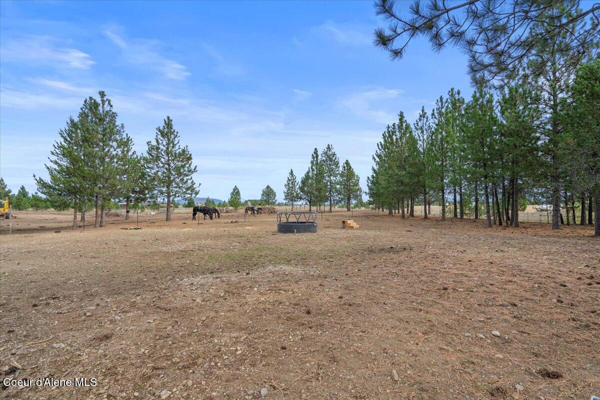811 East Seasons Road Athol, ID 83801 - Photo 48 of 49 48-Back yard