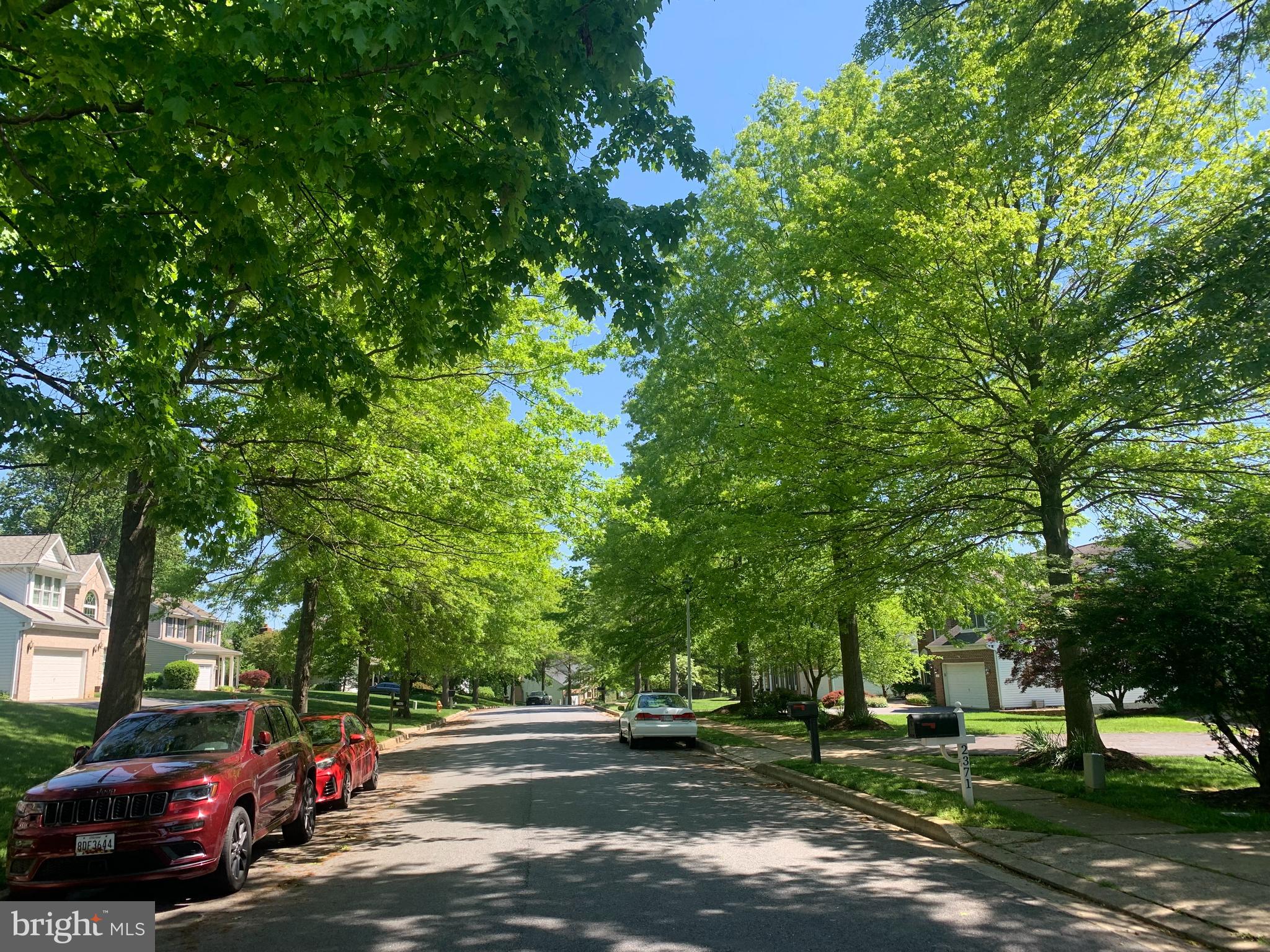 2370 McKenzie Road Ellicott City, MD 21042 - Photo 40 of 40 Beautiful tree lined street!