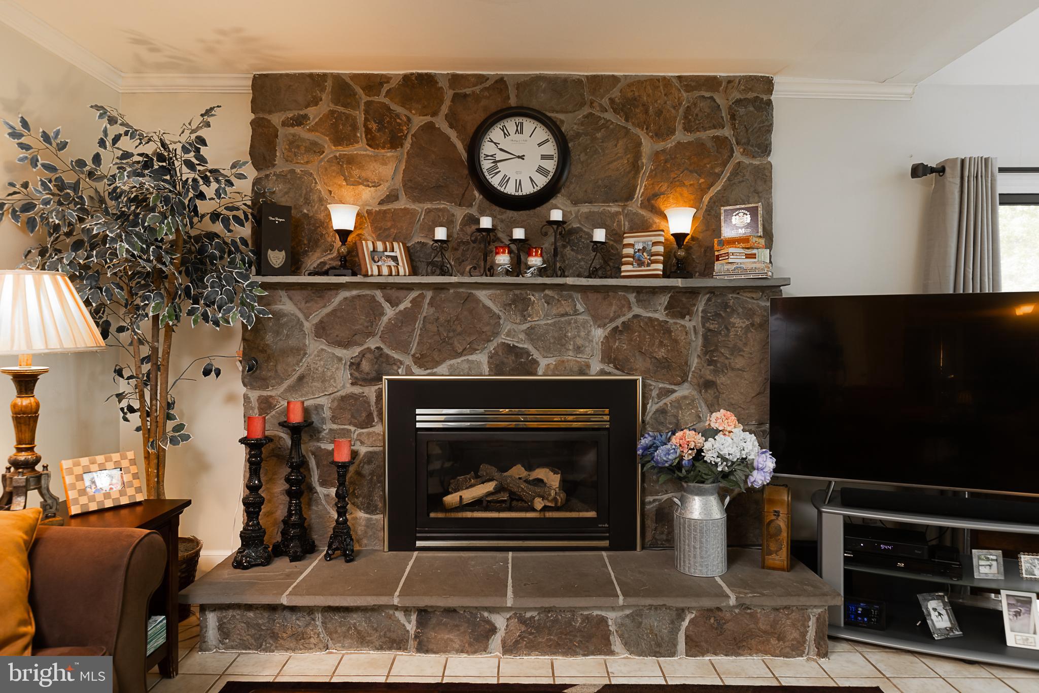 2370 McKenzie Road Ellicott City, MD 21042 - Photo 9 of 40 Gas Fireplace