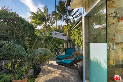 a view of a palm trees front of house
