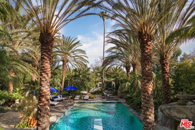 a view of a park with large trees