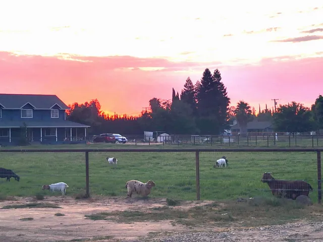 $1,030,000 | 7620 East Grayson Road, Hughson, CA 95326