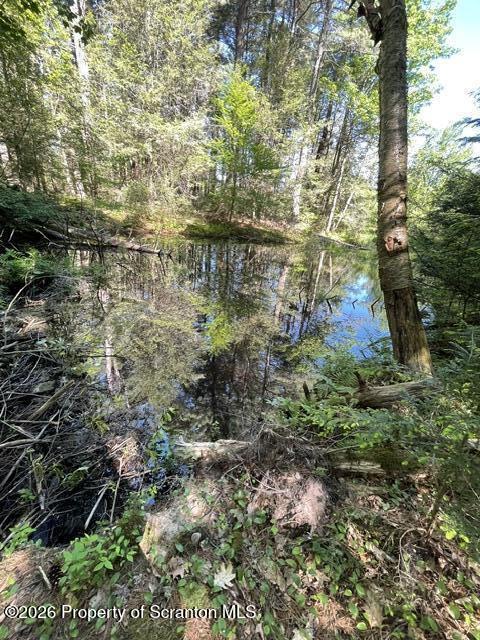 404 Martini Road Moscow, PA 18444 - Photo 8 of 12 Pond view