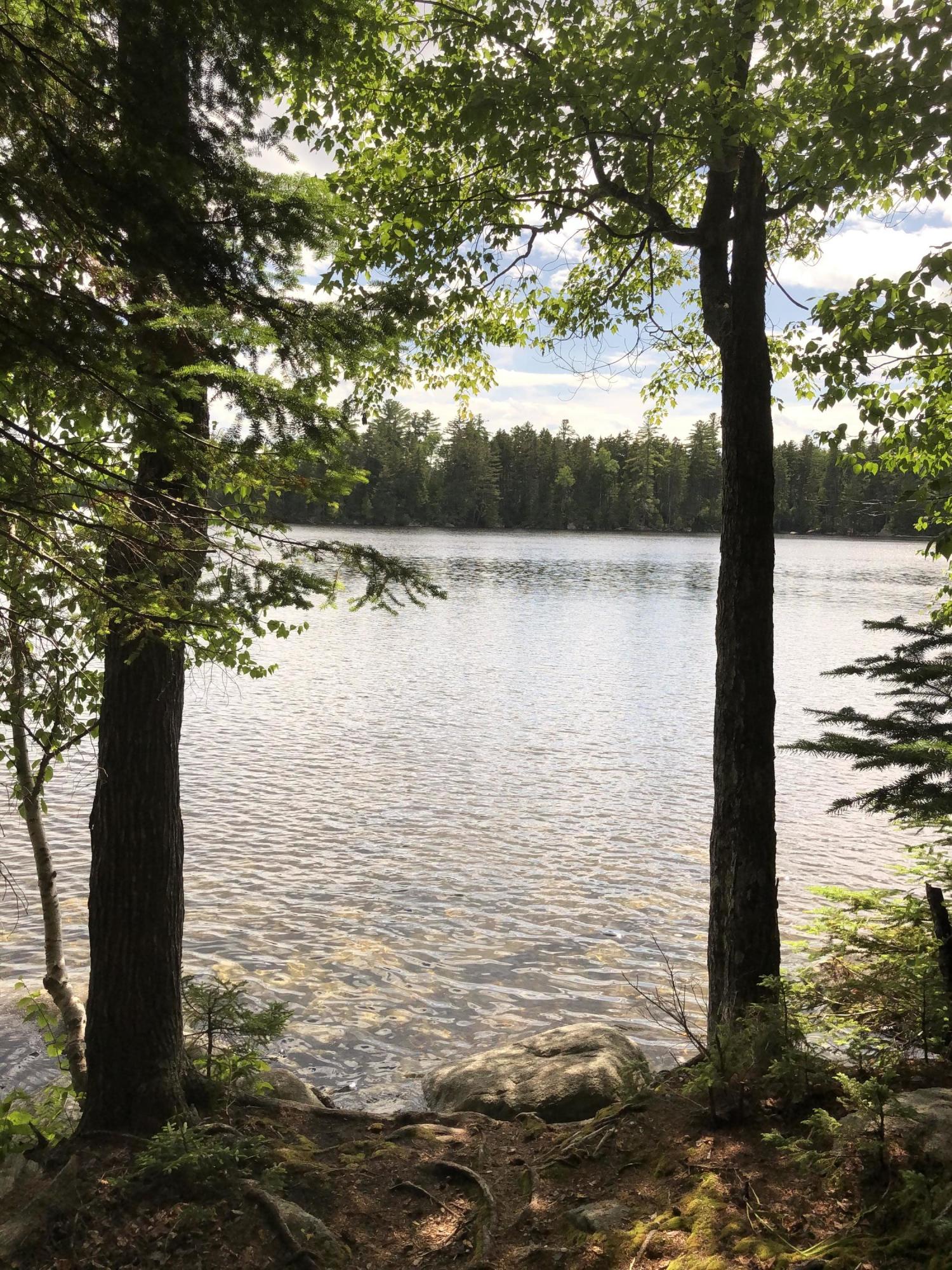 8 Middle Dam Road Andover, ME 04216 - Photo 10 of 14 IMG_4216