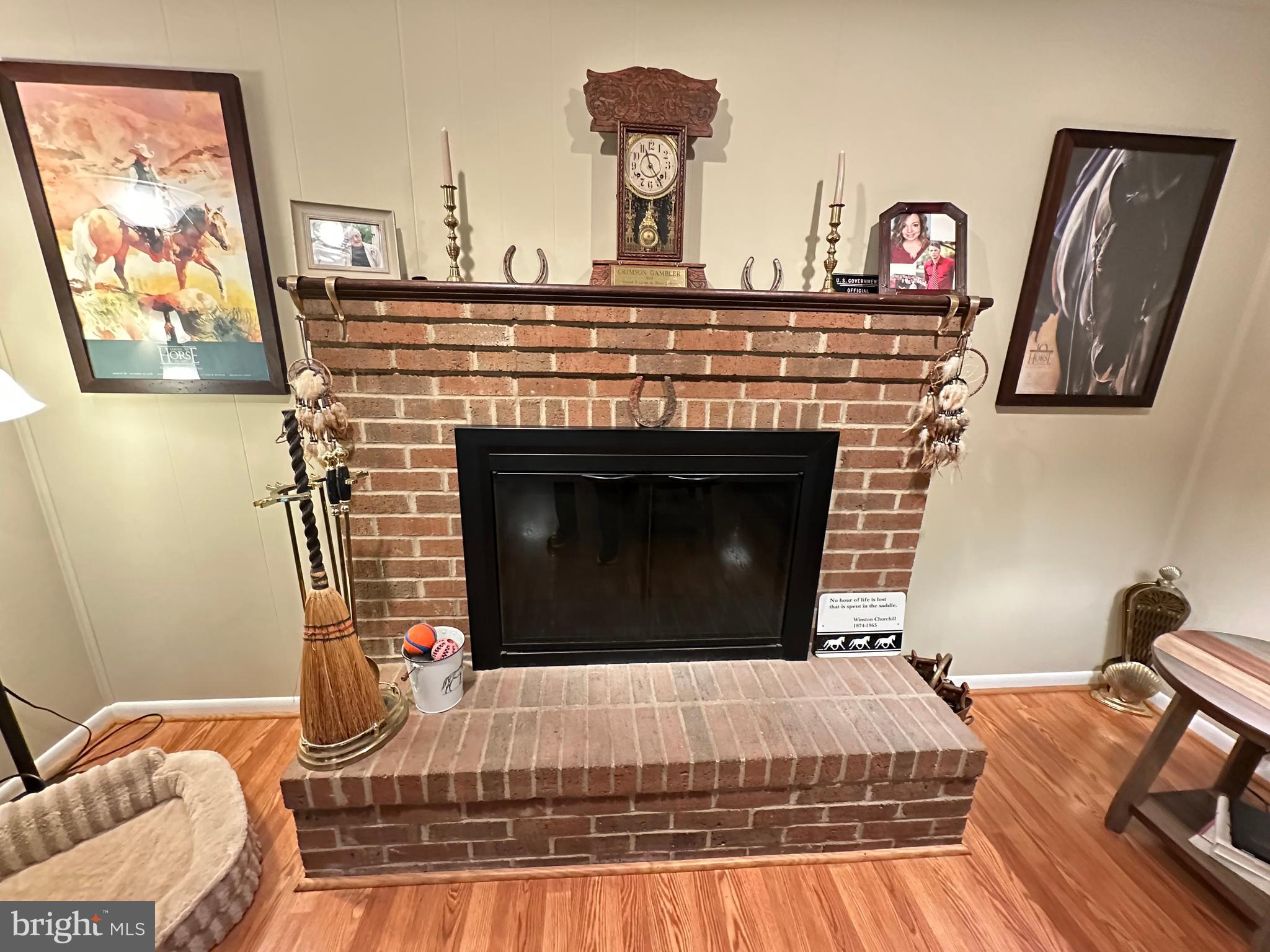 579 Circle View Road Luray, VA 22835 - Photo 36 of 65 Fireplace with Gas Logs