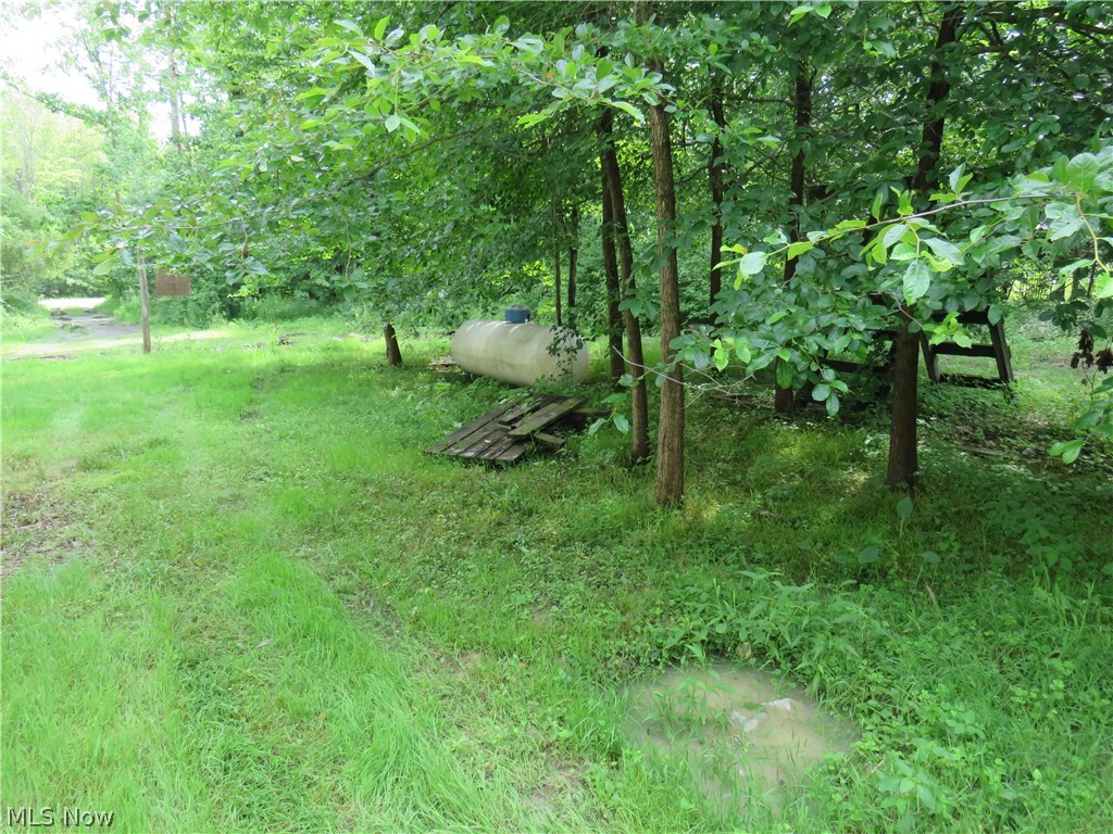 4901 Laskey Road Rome, OH 44085 - Photo 17 of 18