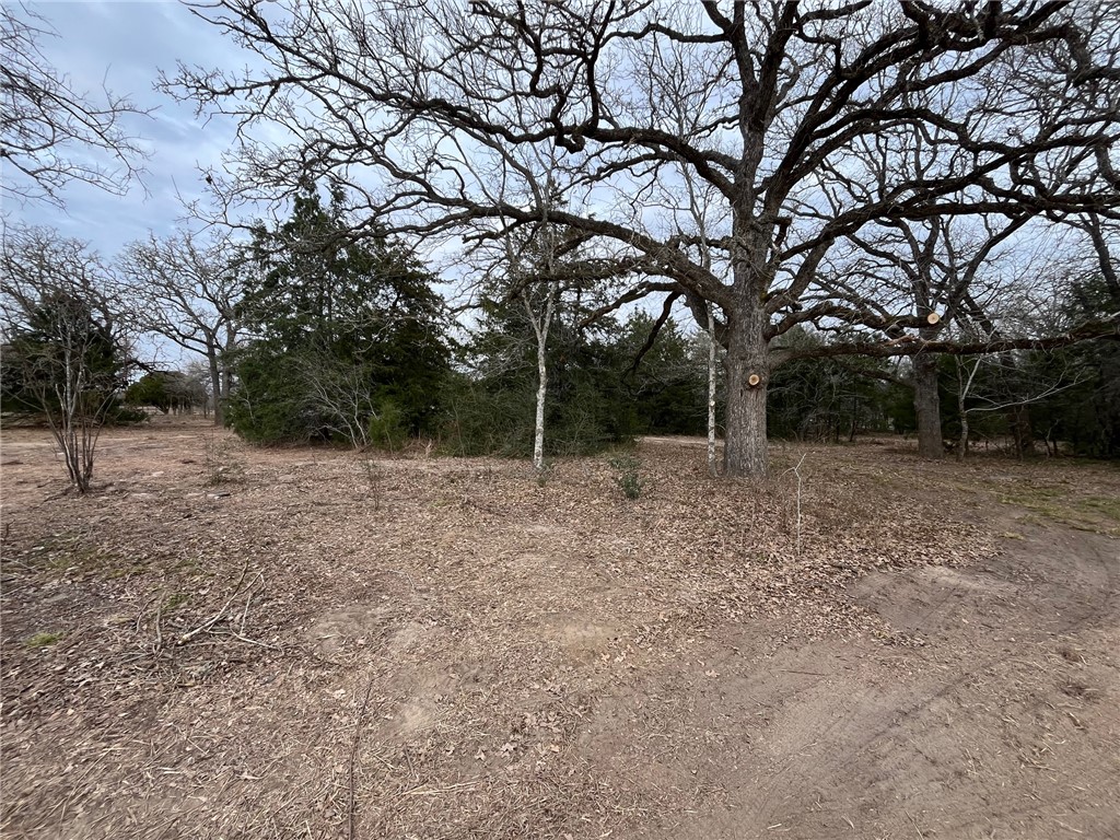 571 Railroad Road Somerville, TX 77879 - Photo 2 of 17