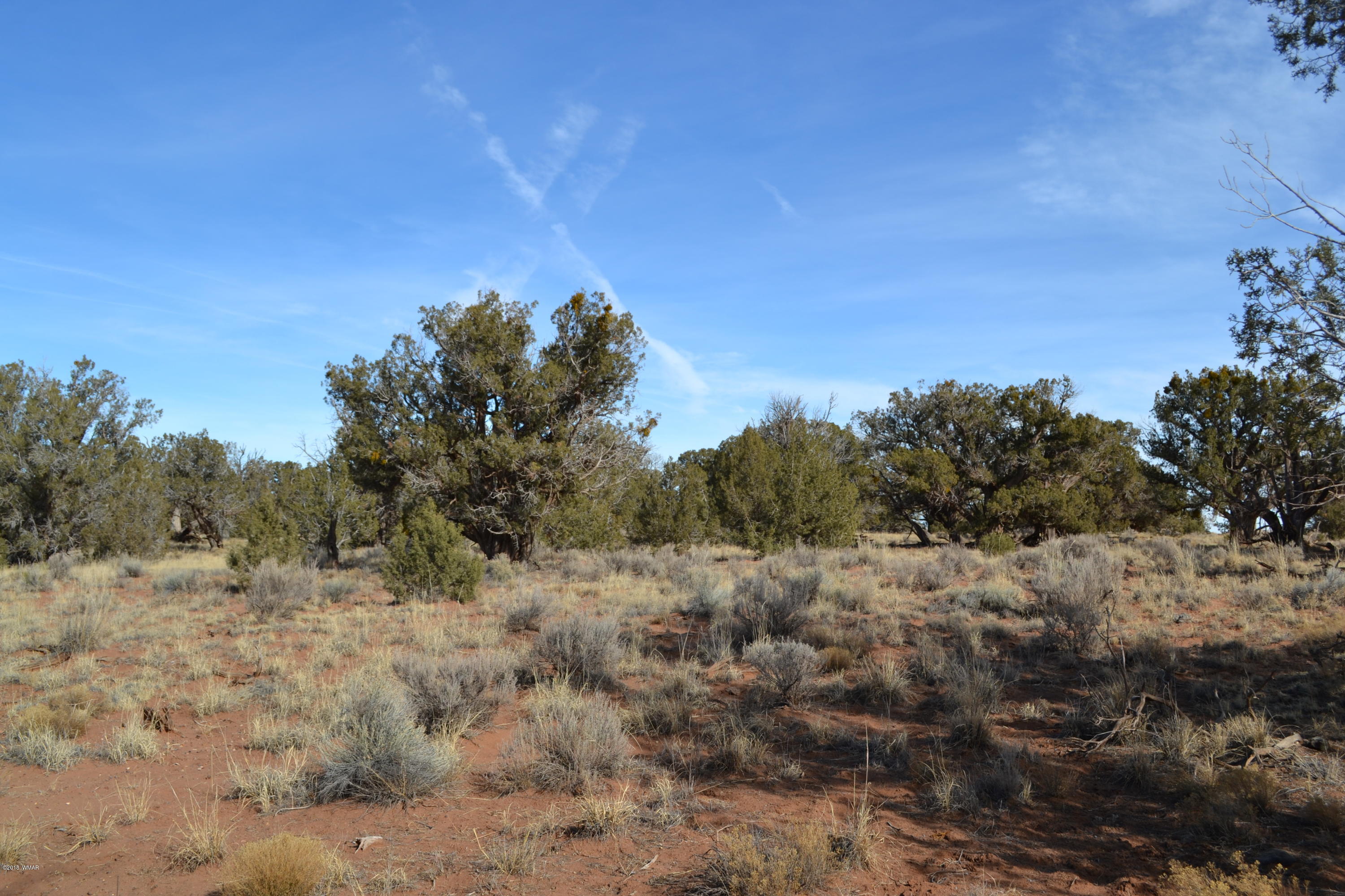 Tbd Northeast Tbd Corner Concho, AZ 85924 - Photo 2 of 7