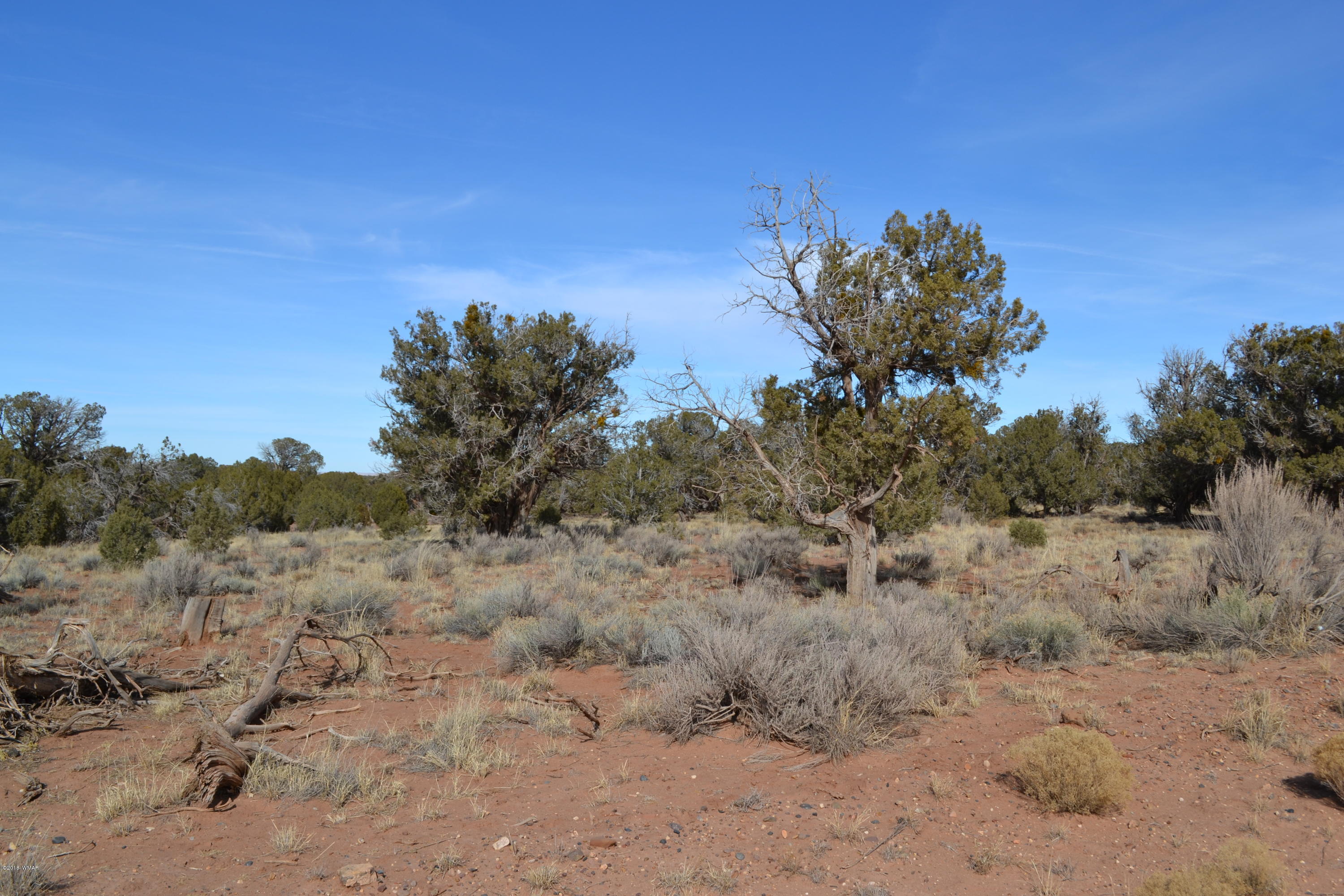 Tbd Northeast Tbd Corner Concho, AZ 85924 - Photo 3 of 7
