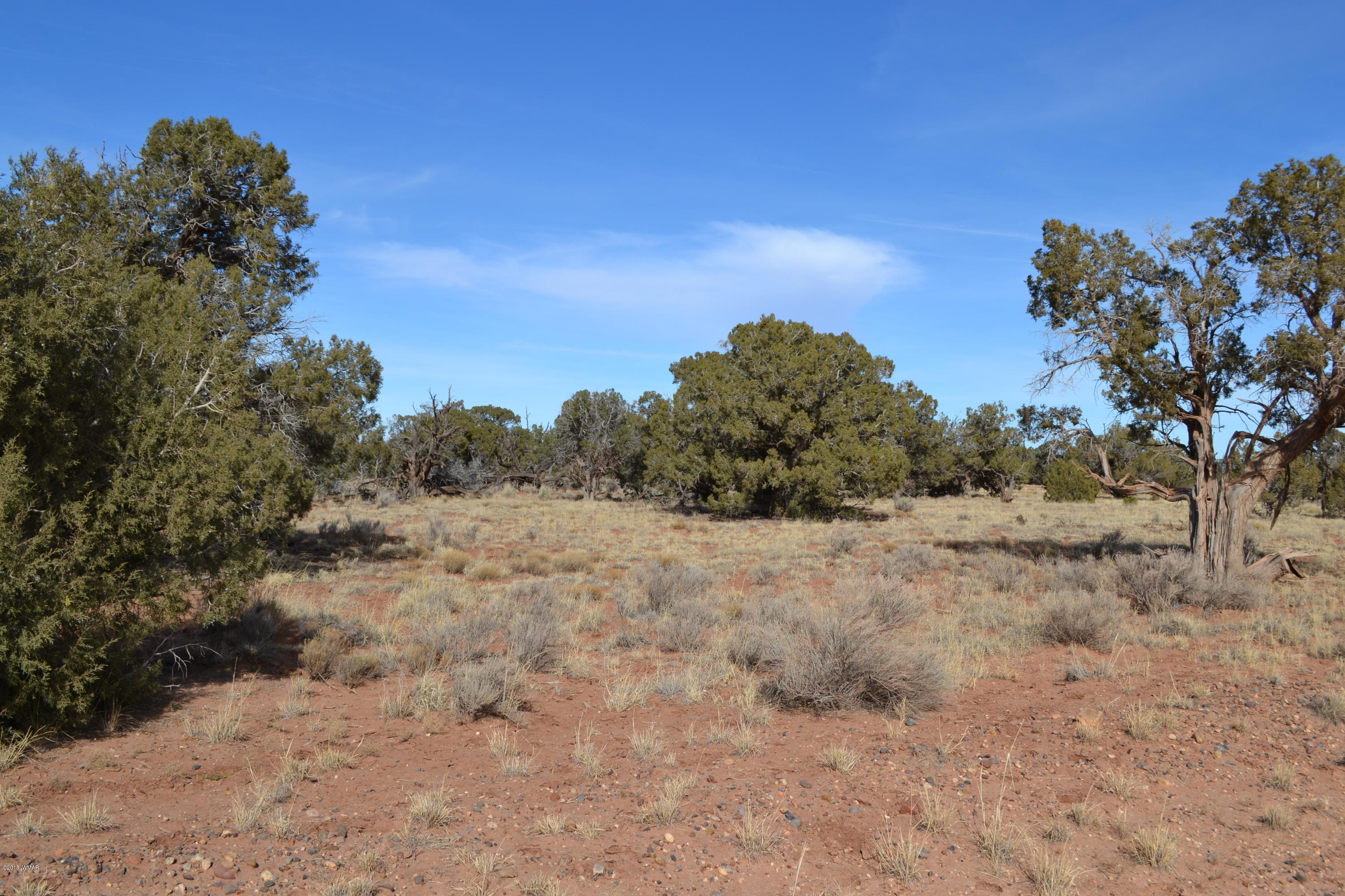 Tbd Northeast Tbd Corner Concho, AZ 85924 - Photo 4 of 7