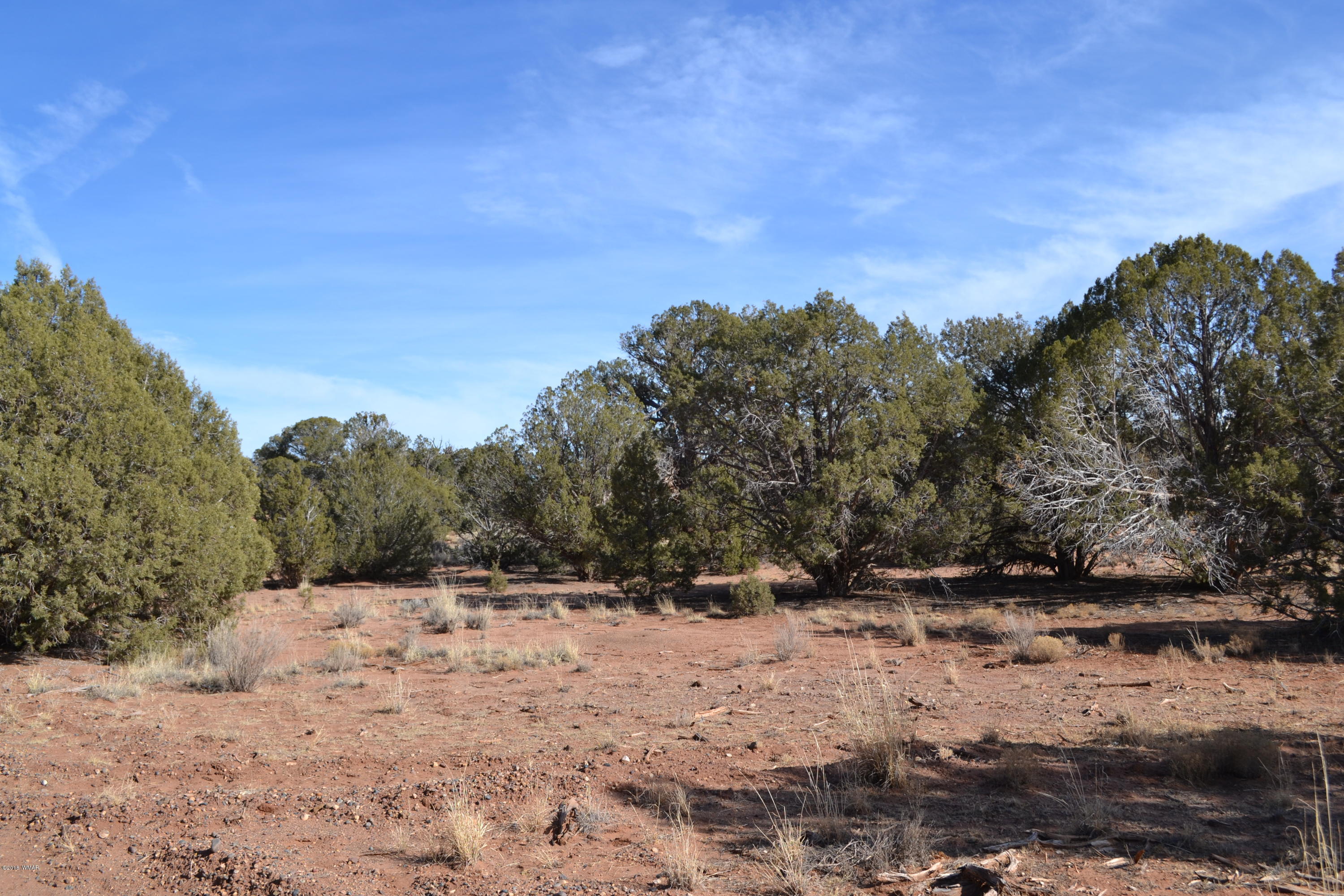 Tbd Northeast Tbd Corner Concho, AZ 85924 - Photo 6 of 7