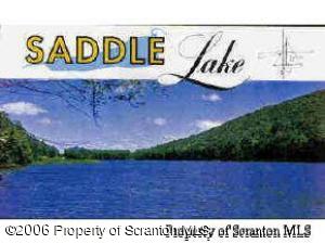87 Eastwoods Road Tunkhannock, PA 18657 - Photo 1 of 3 SADDLE LAKE