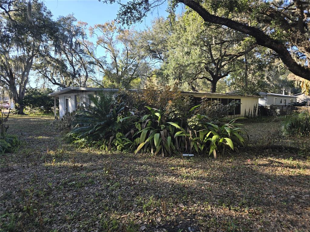 1124 South Wiggins Road Plant City, FL 33566 - Photo 4 of 7 a view of outdoor space and yard