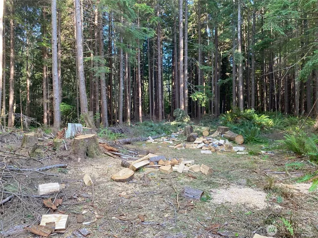 a backyard of a house with lots of green space