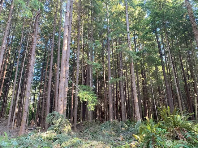 a view of outdoor space and garden