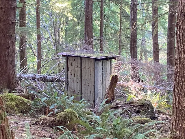 a view of a backyard with plants and large trees