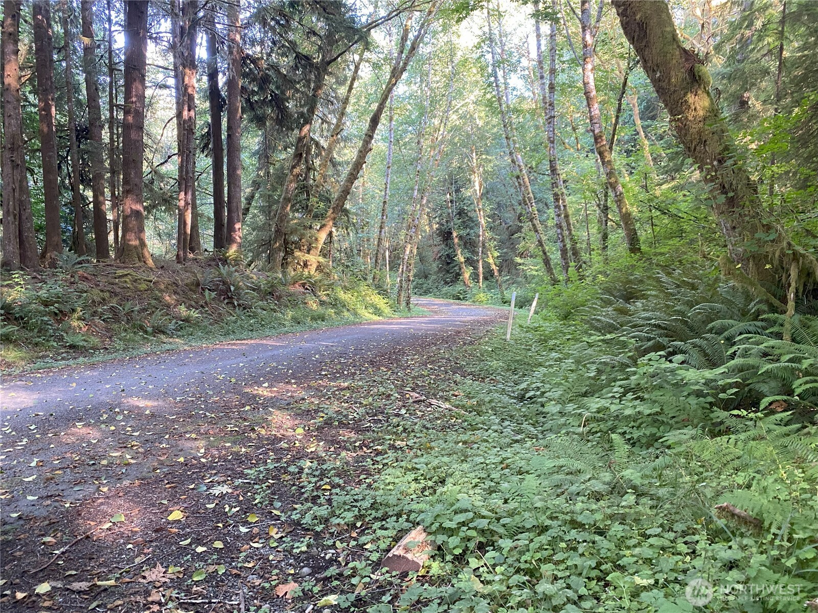 0 Hwy 101 Frks Forks Forks, WA 98331 - Photo 7 of 11 a view of a yard with trees