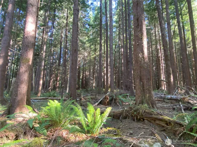 a backyard of a house with lots of green space and trees