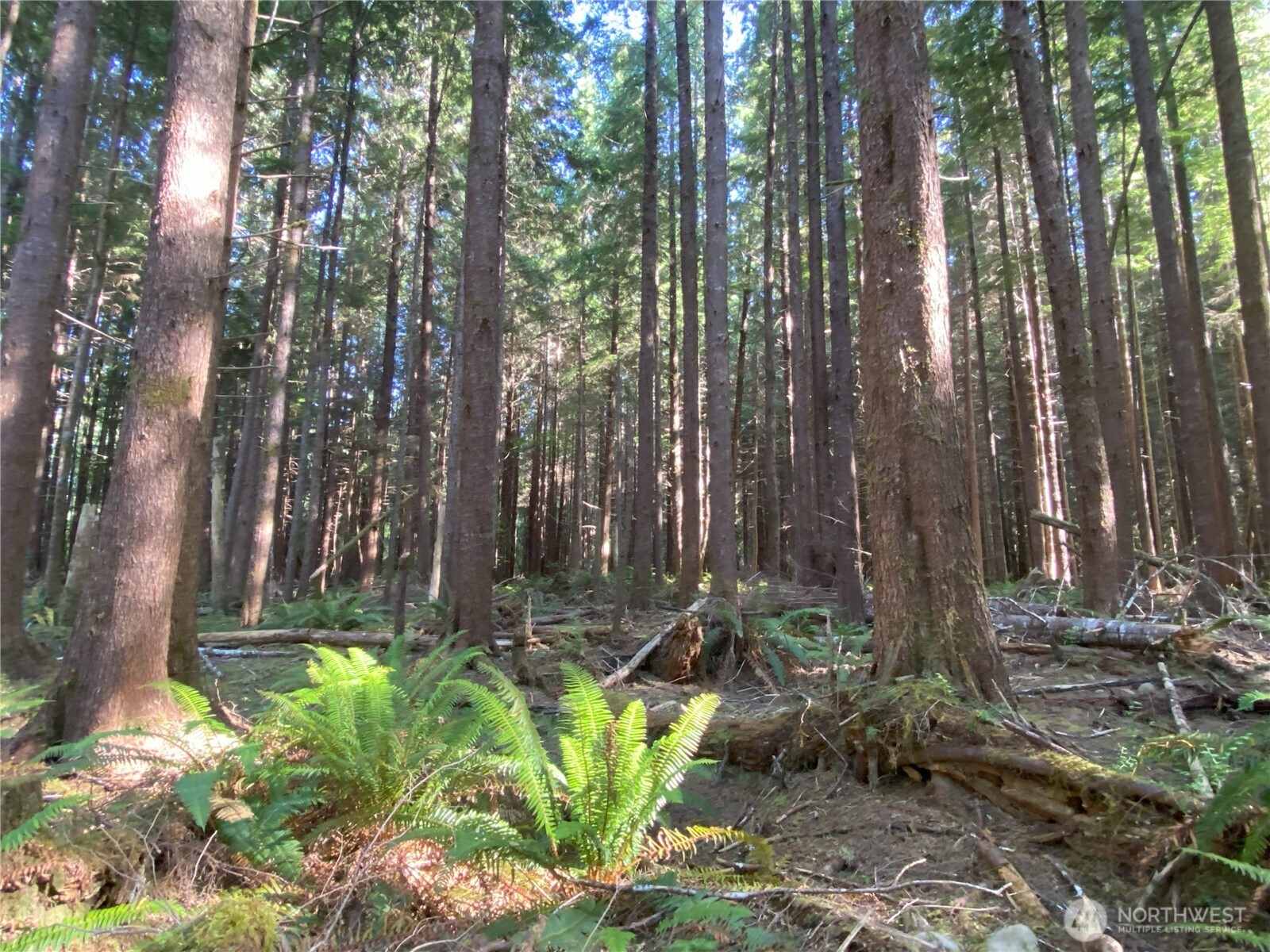 0 Hwy 101 Frks Forks Forks, WA 98331 - Photo 8 of 11