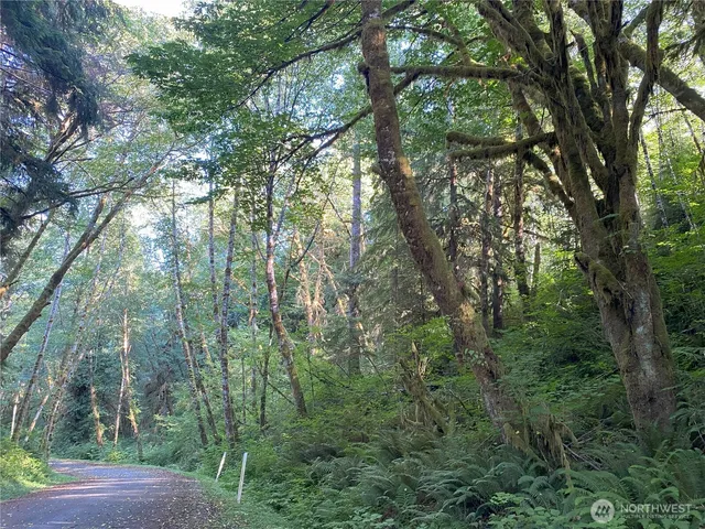 $199,000 | 0 Hwy 101 Frks Forks, Forks, WA 98331