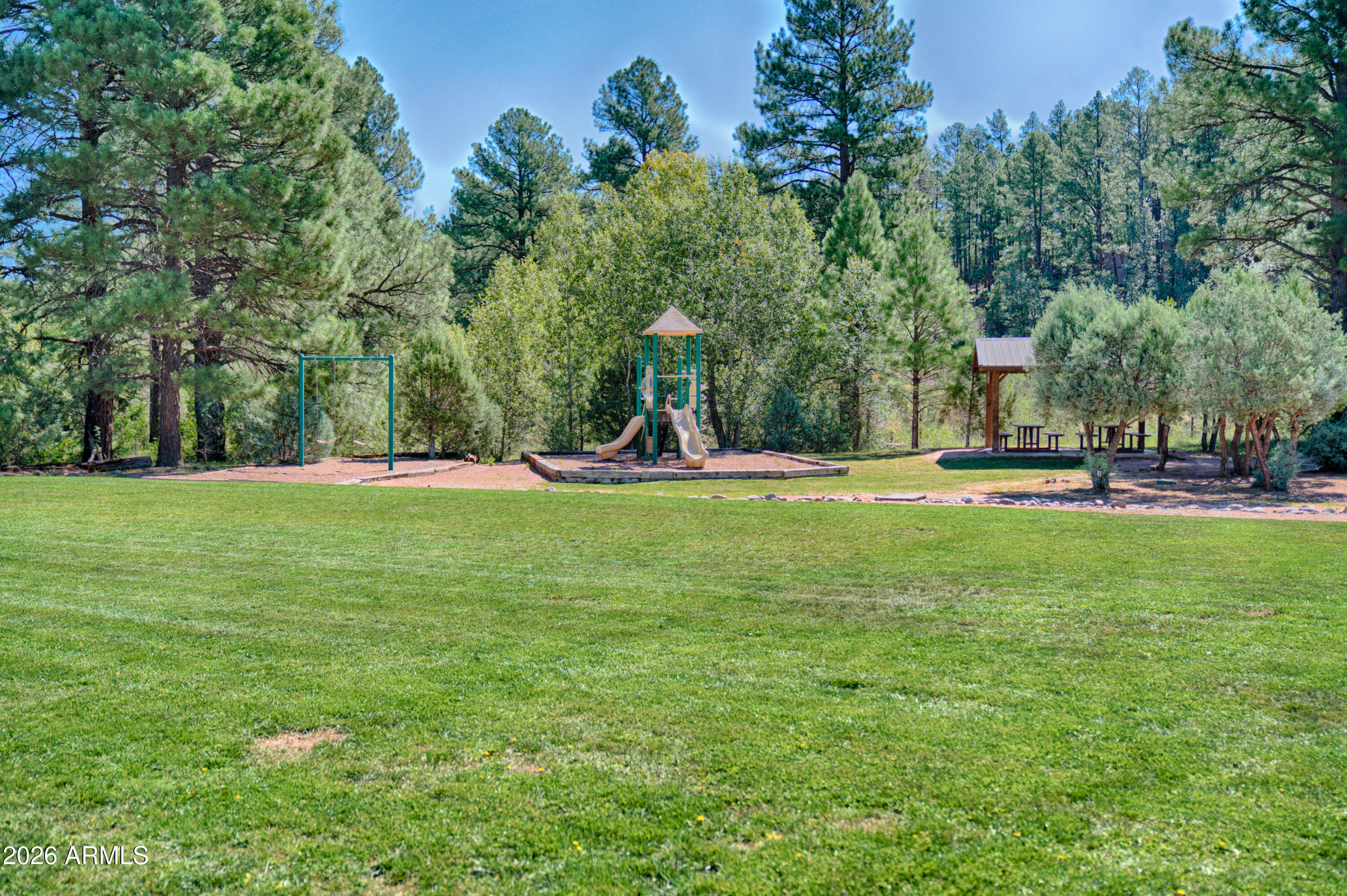 4840 West Cottage Loop Show Low, AZ 85901 - Photo 45 of 47 a view of a park with swings and slides